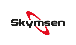 Skynsen
